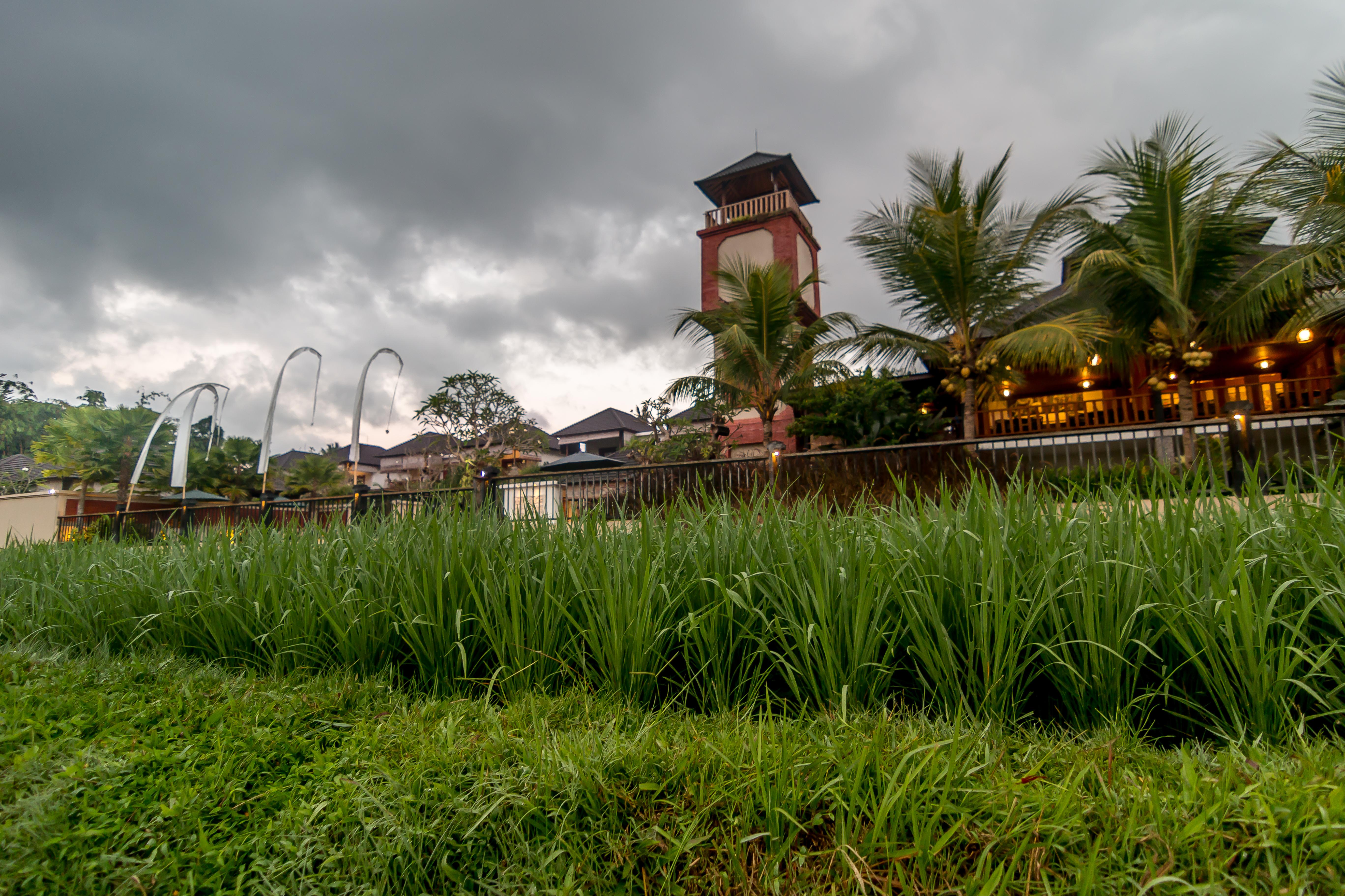 Onje Resort And Villas Ubud  Ngoại thất bức ảnh
